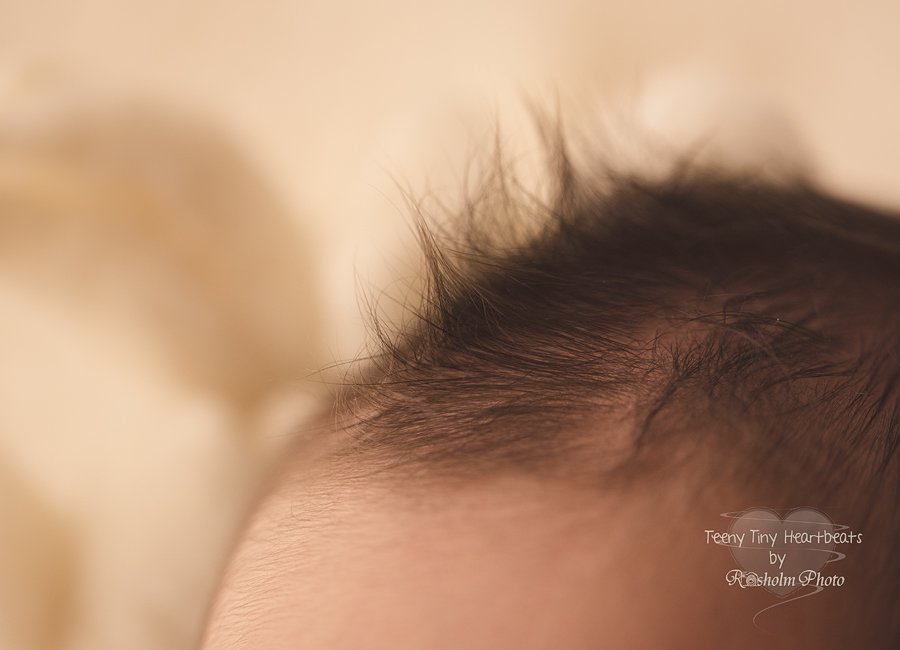 newborn nærbillede af hår