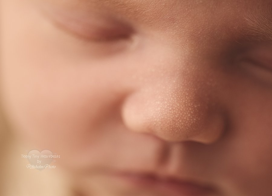 nærbillede af nyfødt næse