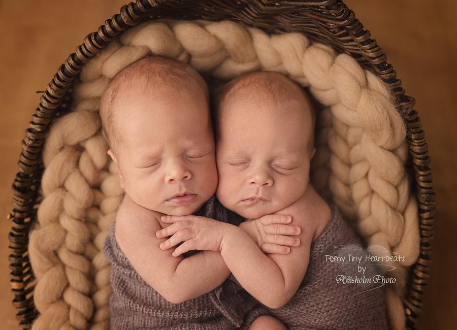 nyfødte tvillingepiger fotograferet hos Teeny Tiny Heartbeats