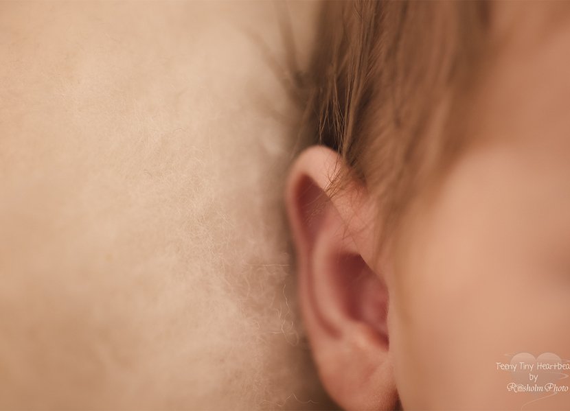 nærbillede af baby øre