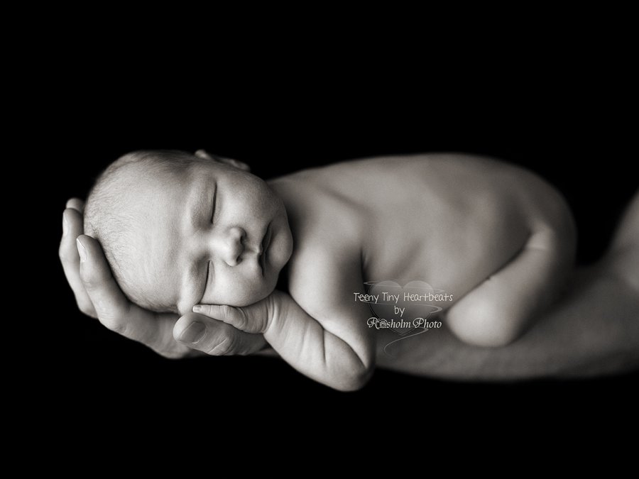 billede af nyfødt sovende på maven på fars strakte arm med sort baggrund - sort hvid
